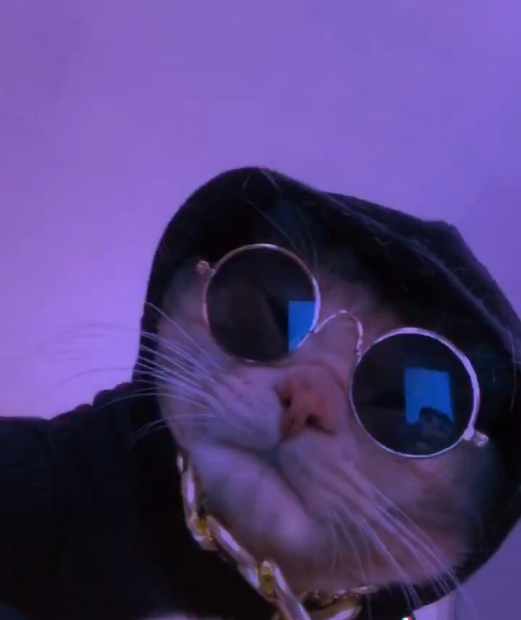 Avatar of PawPawsome